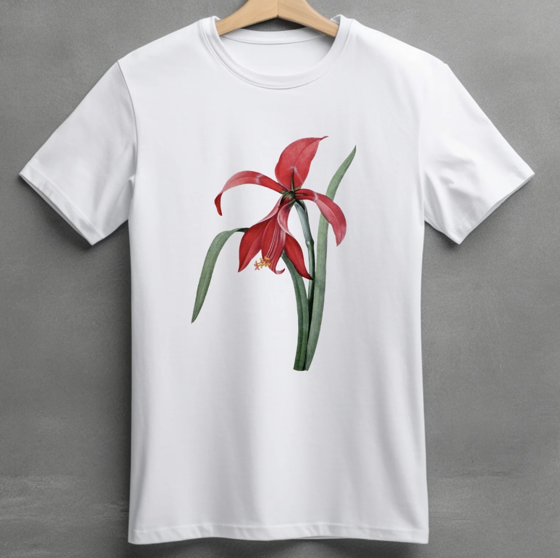 1753709266_68877ad2d5ac6 unworried red flora regular fit tee - Image 1